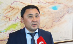 ГТС: цифровизация таможенных процессов позволит снизить коррупцию