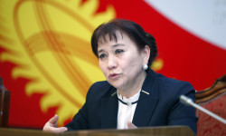 Смертную казнь для насильников собственных дочерей предложила ввести депутат А.Алтыбаева
