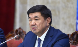 Цифровизация налоговых и таможенных процедур
