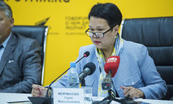 Сауле Мейрманова ушла в отставку