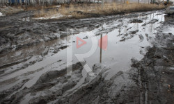 Новопавловка: нужен ремонт улиц