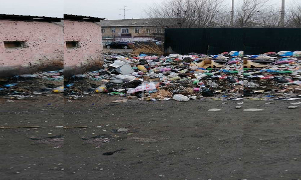 Араван: чачылган таштанды, сайга кошулган канализациянын саркынды суусу