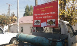 Ысык-Көлдүн балыгын көбөйтүү аракети көрүлүүдө 