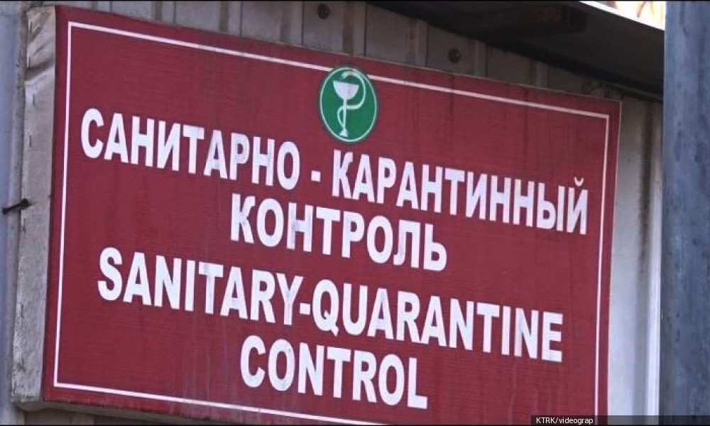 Коронавирустун алдын алуу. Чек ара тилкелеринде текшерүү иштери күчөтүлөт