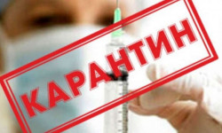 В селах Благовещенка и Бостон Сузакского района введен карантин 