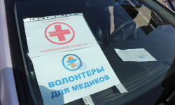 Как волонтеры Бишкека помогают медикам