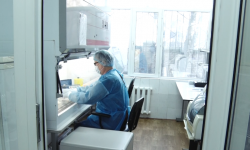 На утро 1 апреля новых случаев заражения COVID-19 не выявлено