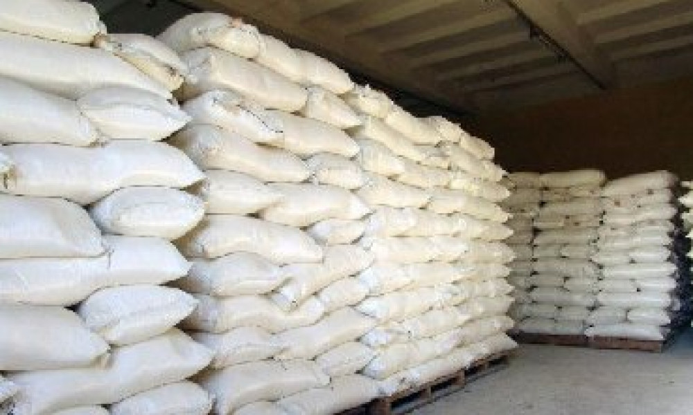 Азык-түлүк жаатында көрүлүп жаткан камкордук кандай жүрүп жатат?