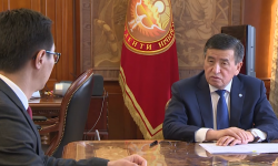 Как цифровизация помогает пережить сложное время? 