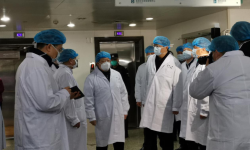 Обнаружено шесть новых симптомов коронавируса