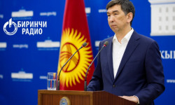 В Бишкеке на 30 апреля количество заражённых коронавирусом составило 183 человека