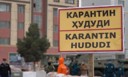 Районы и города в Узбекистане разделят на «красные, желтые и зеленые» зоны по эпидуровню