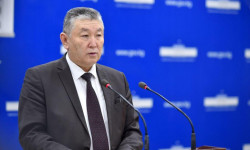 Коронавирус: основная доля заболевших в возрасте от 20 до 60 лет