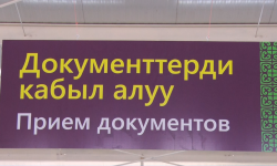 ЦОНы возобновили свою работу