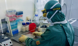 В Кыргызстане за сутки выявлено 15 новых случаев заражения COVID-19