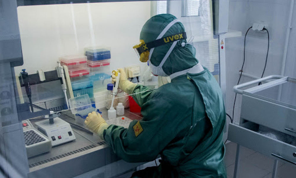 За сутки из стационара выписано 12 пациентов