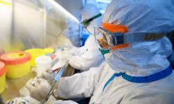 Коронавирус: за сутки из стационара выписано 38 пациентов