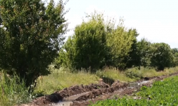 Ирригация и чистая вода - Национальные проекты