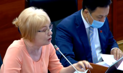 Законопроект о НКО принят во втором чтении - Новости Кыргызстана
