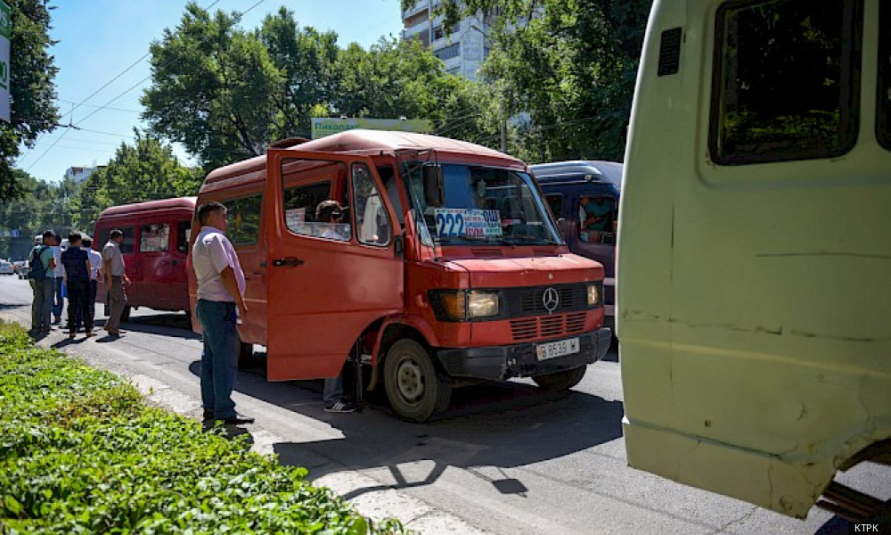 Проверка общественного транспорта