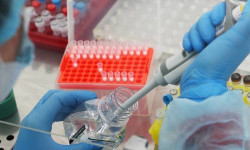 Последние данные Минздрава: 269 новых случаев заражения коронавирусом