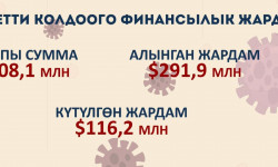 Каржылык жардамдар кайда жумшалууда? -  Кыргызстан жаңылыктары