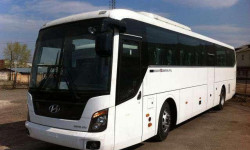 Кыргызстанга Россиядан 963 жаран кайтып келди