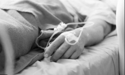 Пневмония илдети сутка ичинде дагы 29 адамдын өмүрүн алды - Кыргызстан жаңылыктары