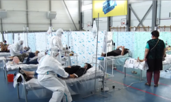Өкмөттүн жугуштуу илдетке каршы чаралары 