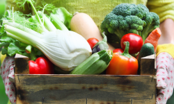 Пайдалуу кеңеш: Туура тамактануу   (аудио)