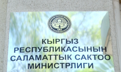  Хижама ыкмасы коронавирус же пневмониядан сакайта албайт