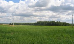 “Эгемендик” гүл багына 10 гектар жер бөлүндү