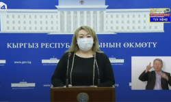 Айнура Акматова: Ыктыярчылардан, ишкерлерден жардам алууга тыюу салынган эмес