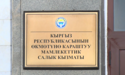 Мамлекеттик салык кызматы: айрым товарларды маркалоо мөөнөтү узартылды 