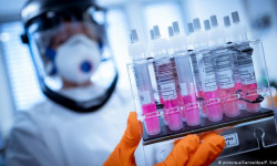 За сутки выявлено 503 новых случая заражения COVID-19