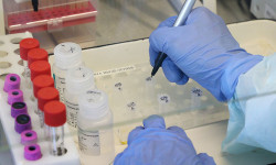 В Российском референс-центре по мониторингу COVID-19 были изучены анализы направленные из КР