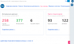 Бирдиктүү covid.kg расмий сайты жаңыланды - Кыргызстан жаңылыктары 