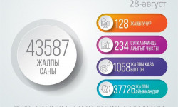 COVID-19: Эпидемиологическая ситуация в Кыргызстане - 28.08.2020