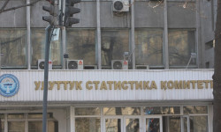 Улуттук статистика комитети: учурда эл каттоо жүргөн жок 