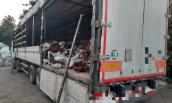 В Кыргызстане выявлен факт незаконного ввоза "цветных металлов"