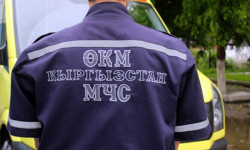 Защита от селей: меры против селевых потоков