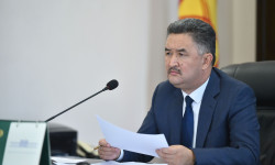 Штаб: Сасык тумоого каршы калкты эмдөө пандемия маалында абалды жеңилдетет