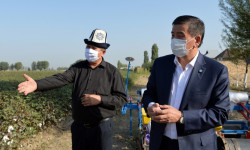 Глава государства посетил производственно-семеноводческий кооператив «Оомат агро»