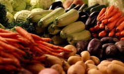Ушул жылдын январь-август айларында айыл чарба продукциясы өстү 