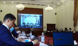 Чек араларды көзөмөлдөөгө көмөктөшүү маселелери боюнча онлайн жыйын өттү 