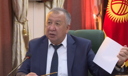 Өкмөт кризистен кийин ата мекендик ишканаларды колдоо максатында кураторлук механизмди киргизди