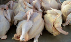 Запрет на ввоз мяса птицы из РК