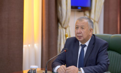"Эрежеге баш ийбегендерге катуу чара көрүлөт" - Боронов