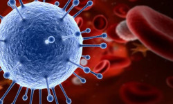 За последние сутки 172 человека заразились COVID-19. Ситуация напряженная
