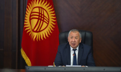 Премьер-министр КР призвал не паниковать и своевременно обращаться в медслужбы